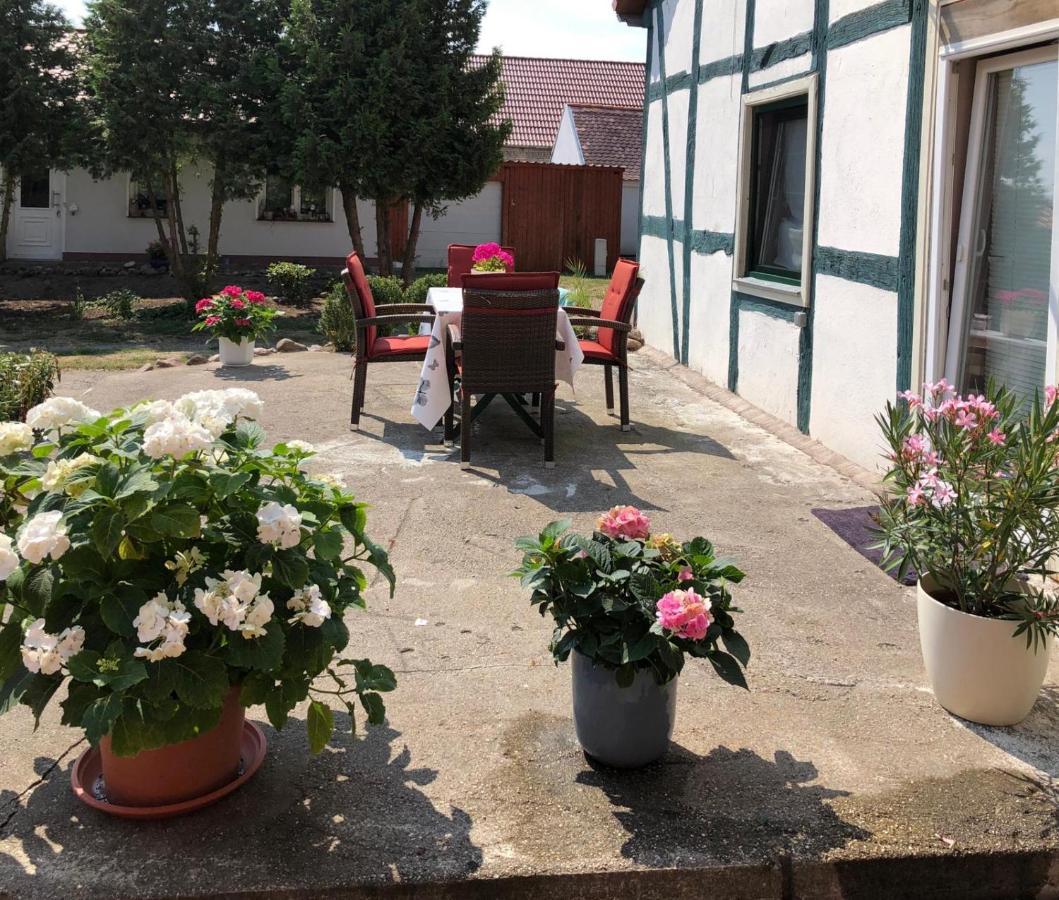 Ferienwohnung,haus Elisa 1 * Staffelde